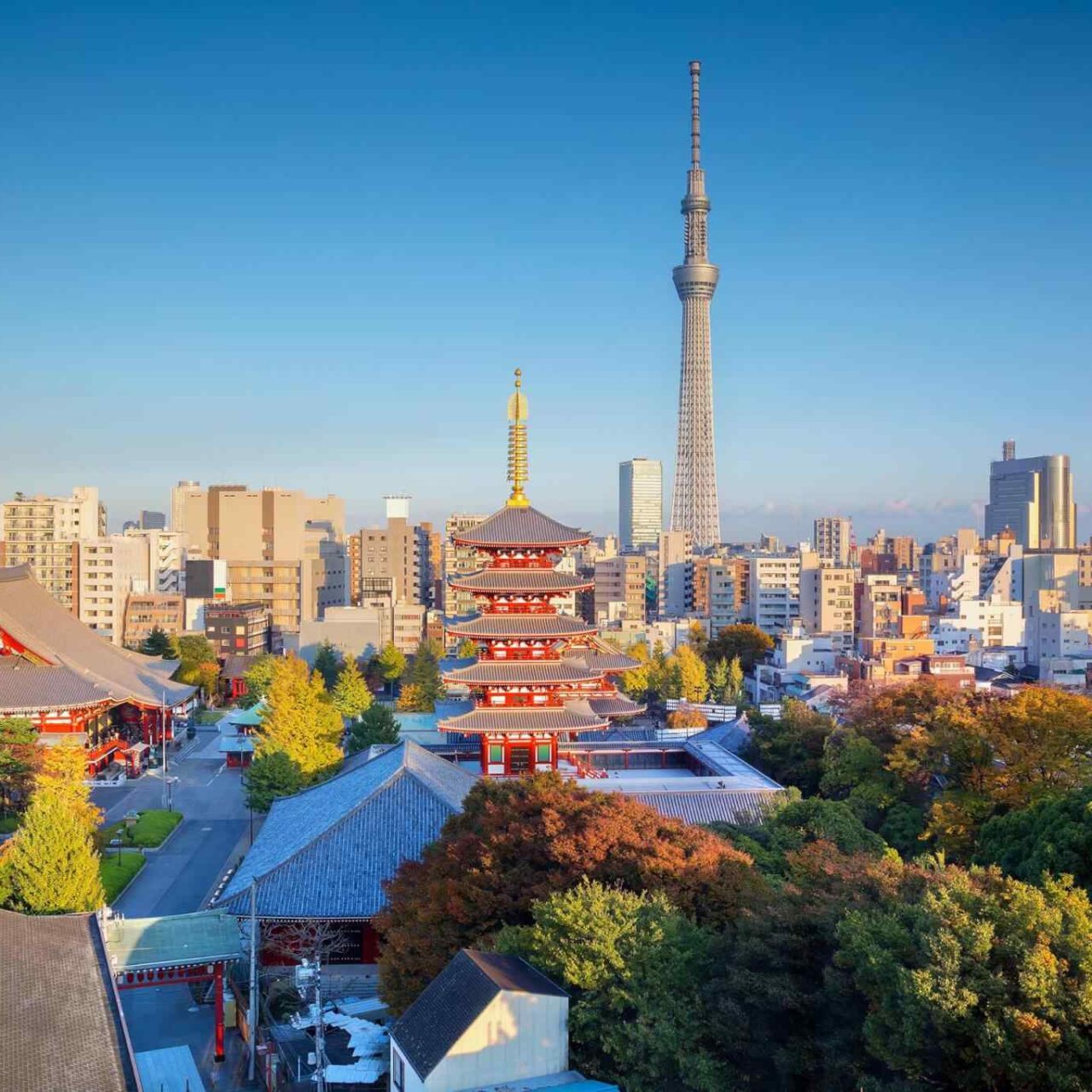 https://betonamutsua.danafishing.com/wp-content/uploads/2018/09/destination-tokyo-04-1280x1280.jpg